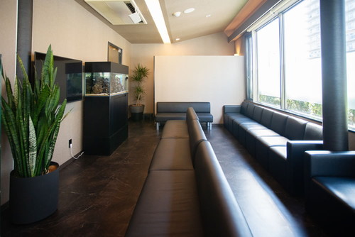 ブリストデンタルクリニック三郷の設備・院内の様子